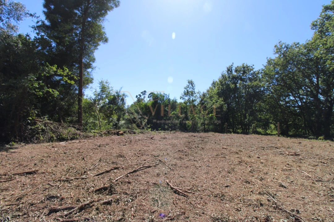 Terreno para Venda em Seixas Foto 8