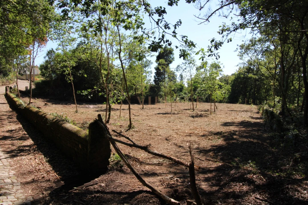 Terreno para Venda em Seixas Foto 14