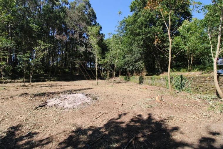 Terreno para Venda em Seixas Foto 2