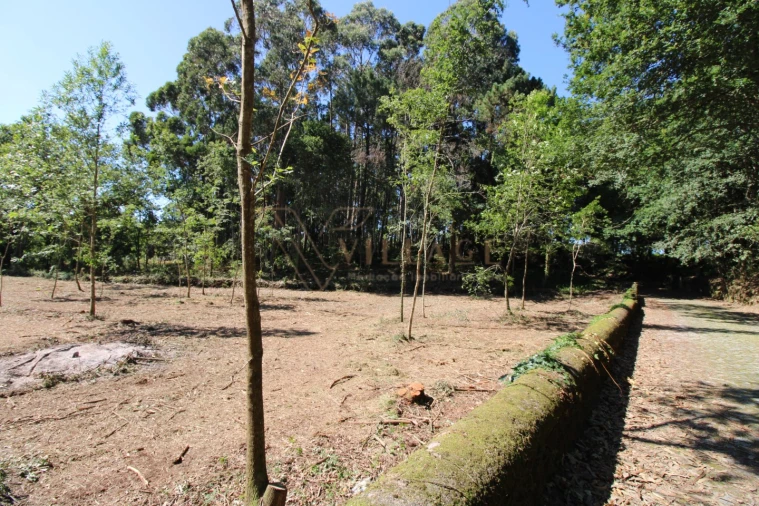 Terreno para Venda em Seixas Foto 3