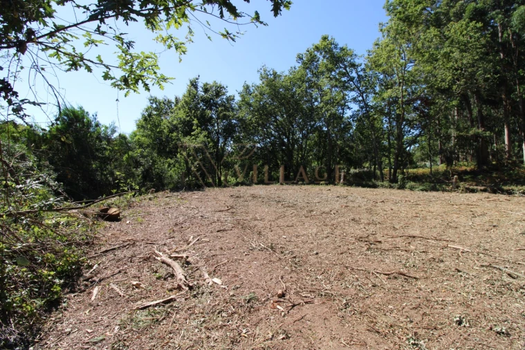 Terreno para Venda em Seixas Foto 5