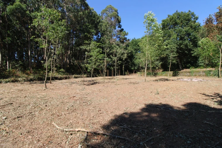 Terreno para Venda em Seixas Foto 6