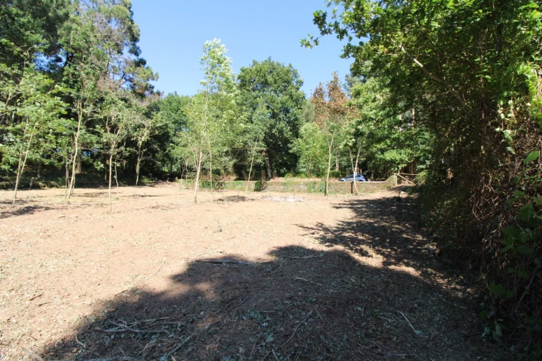 Terreno para Venda em Seixas Foto 7