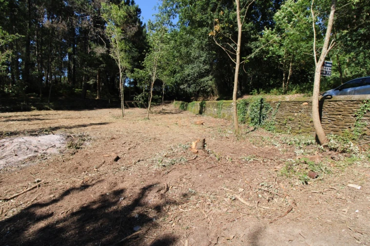 Terreno para Venda em Seixas Foto 9