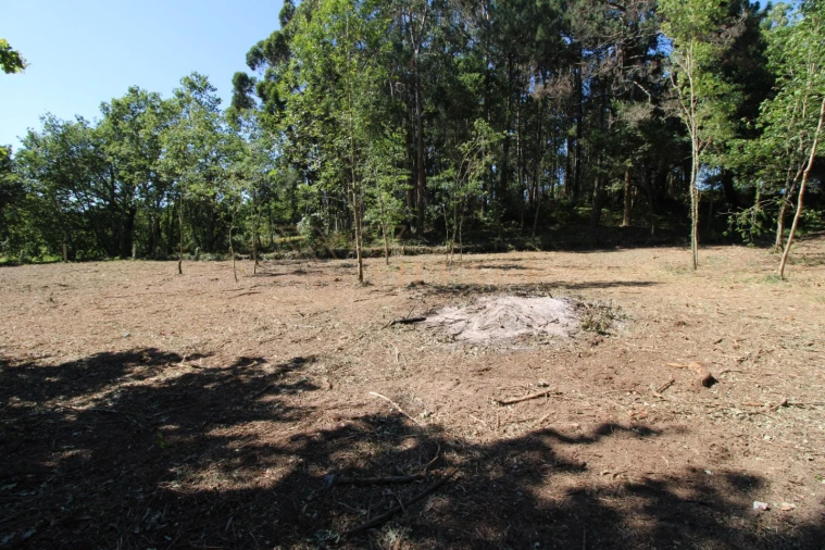Terreno para Venda em Seixas Foto 10