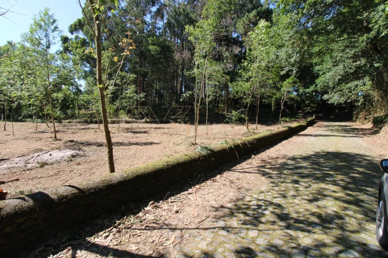 Terreno para Venda em Seixas Foto 12