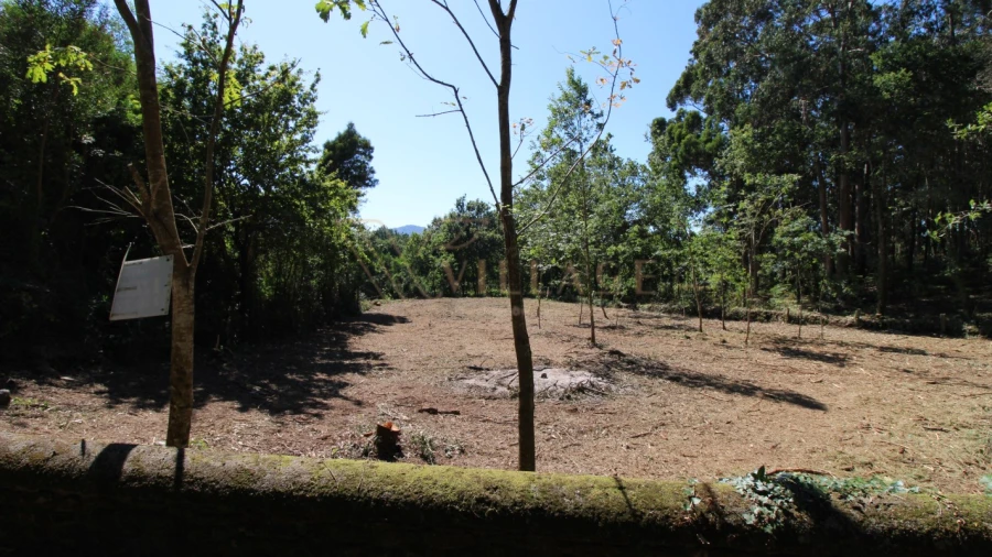 Terreno para Venda em Seixas