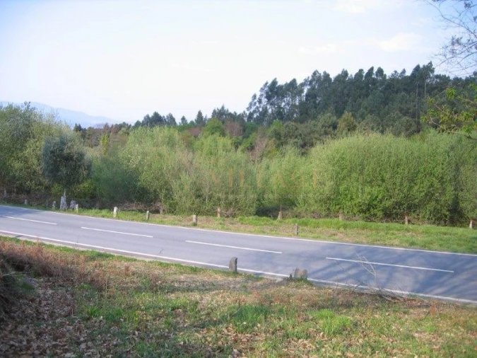 Terreno para Venda em Candemil e Gondar Foto 4