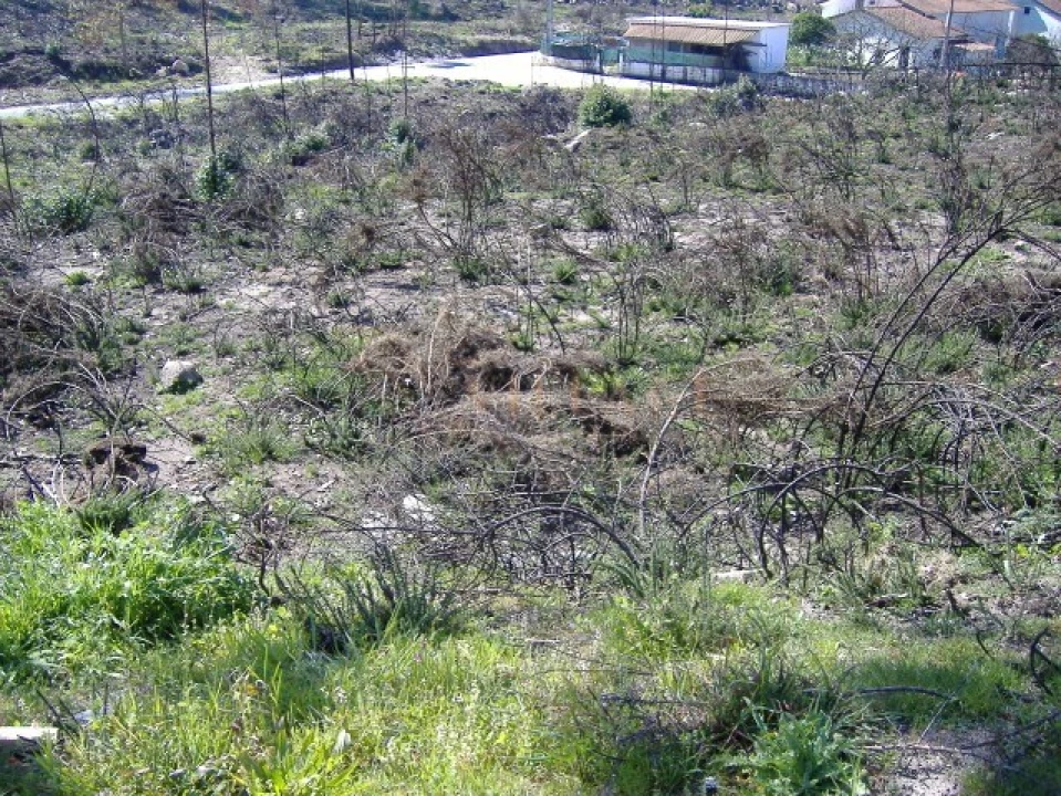 Terreno para Venda em Loivo Foto 2