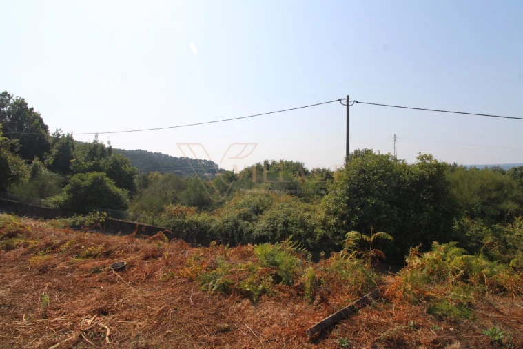 Terreno para Venda em Gondarem Foto 6