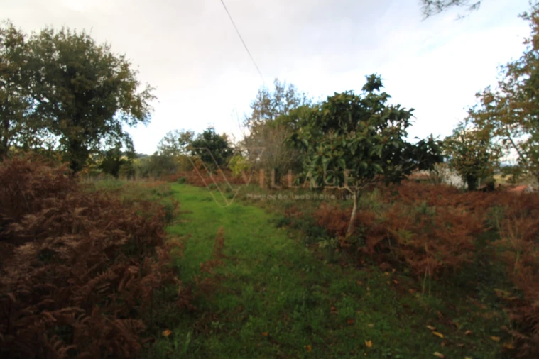 Terreno para Venda em Cornes Foto 7