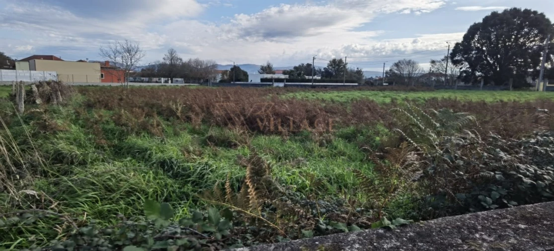 Terreno para Venda em Campos e Vila Meã Foto 6