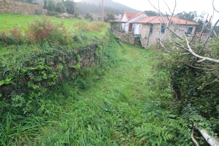 Terreno para Venda em Gondarem Foto 6