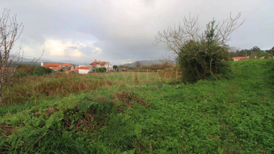 Terreno para Venda em Gondarem