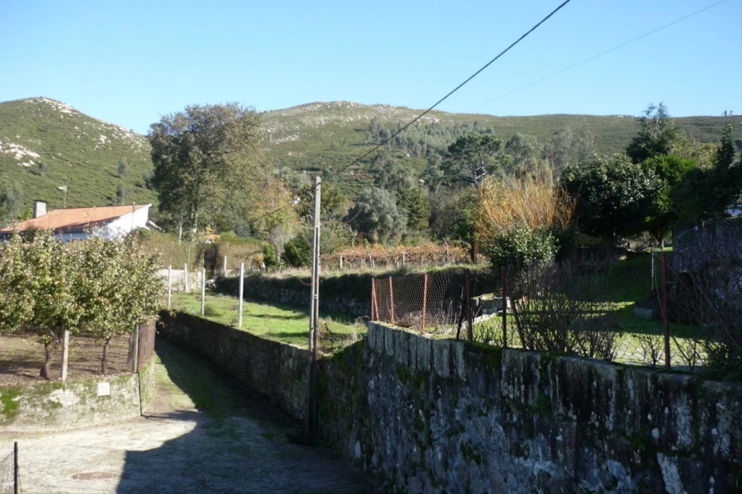 Terreno para Venda em Gondarem Foto 4