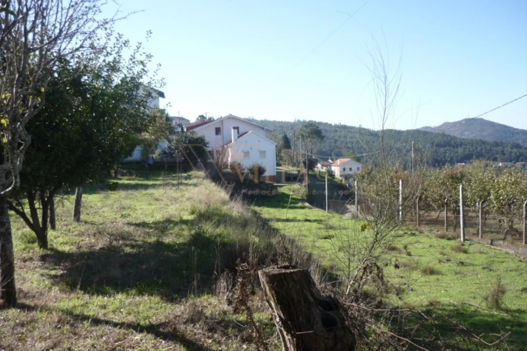 Terreno para Venda em Gondarem Foto 3
