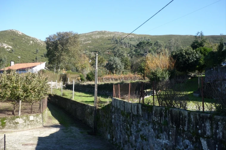 Terreno para Venda em Gondarem Foto 4