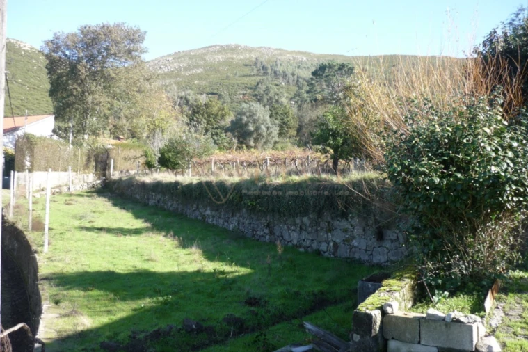 Terreno para Venda em Gondarem Foto 5