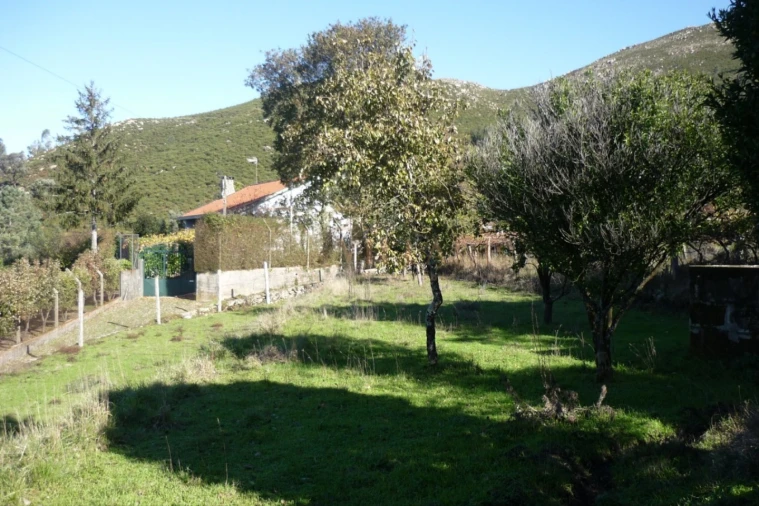 Terreno para Venda em Gondarem Foto 6