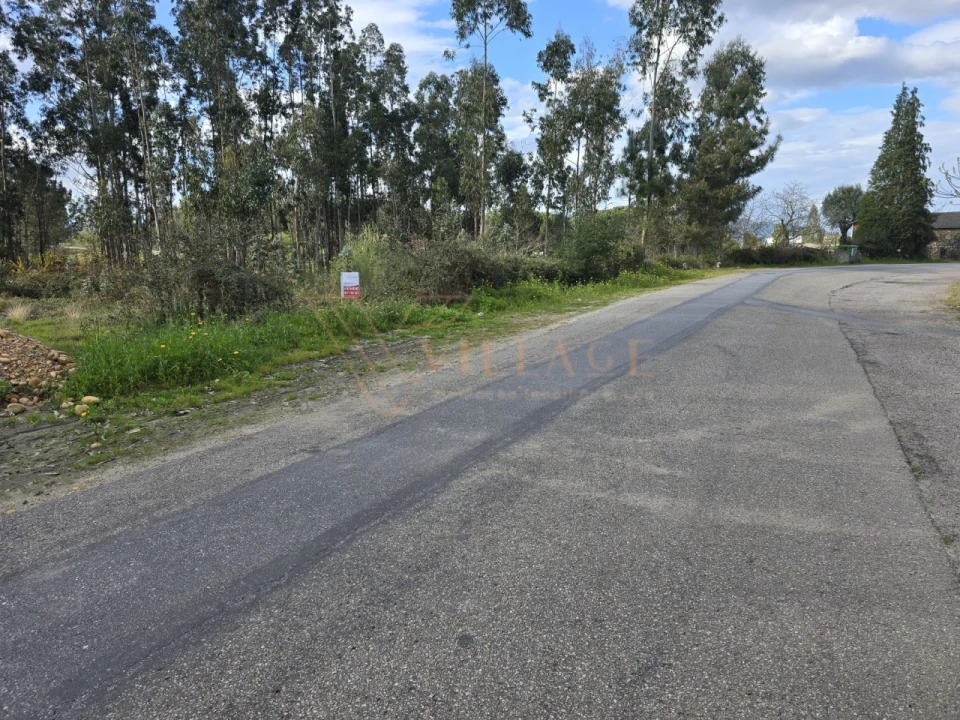 Terreno Agricola ou Rústico para Venda em São Julião e Silva Foto 7