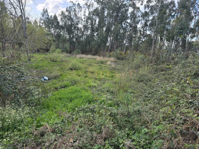 Terreno Agricola ou Rústico para Venda em São Julião e Silva Foto 4