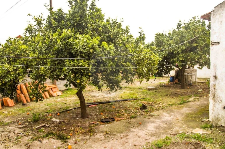 Moradia T2 para Venda em Povoa da Isenta Foto 25