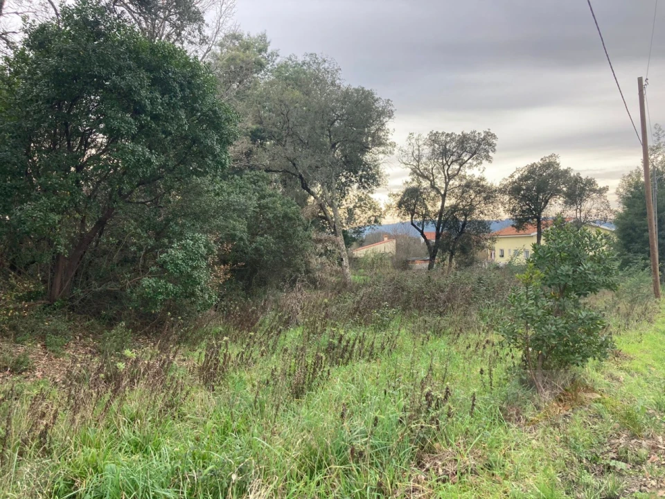 Terreno para Venda em Lousã e Vilarinho Foto 7