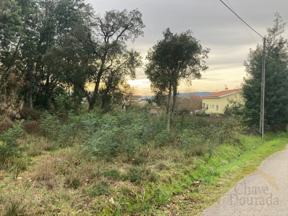 Terreno para Venda em Lousã e Vilarinho Foto 12