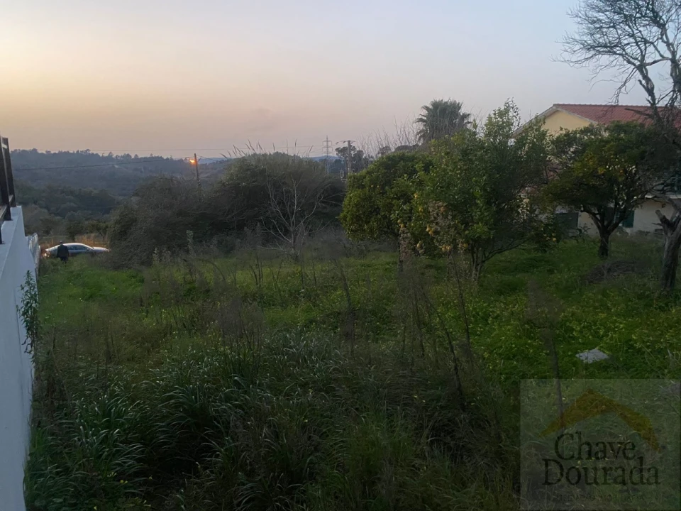 Terreno para Venda em Eiras e São Paulo de Frades Foto 8