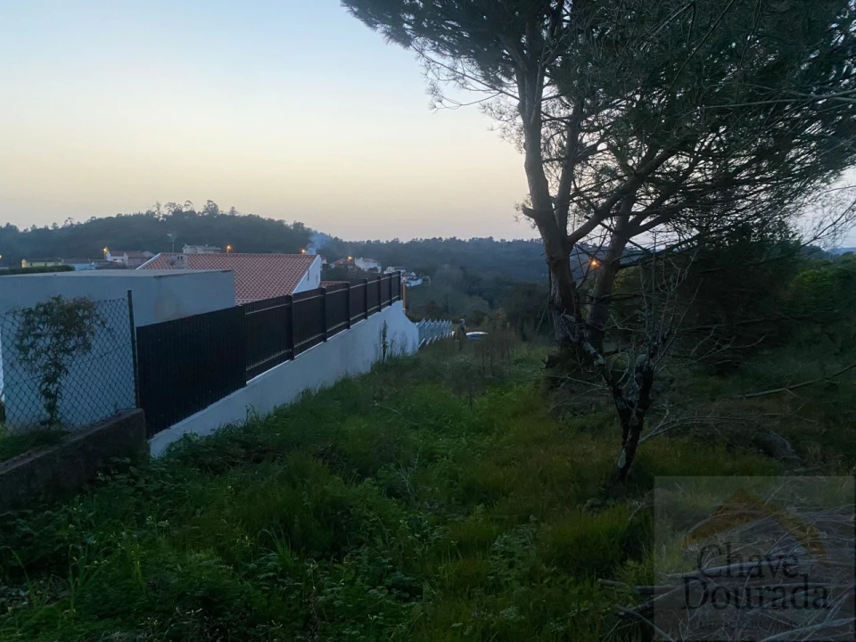 Terreno para Venda em Eiras e São Paulo de Frades Foto 7