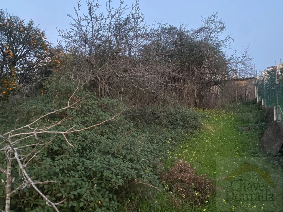 Terreno para Venda em Eiras e São Paulo de Frades Foto 12