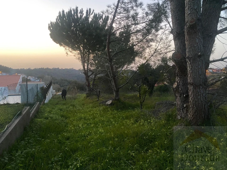 Terreno para Venda em Eiras e São Paulo de Frades Foto 6