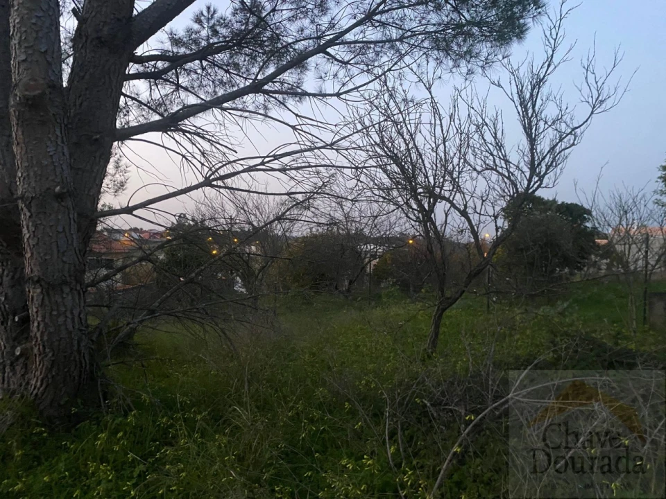 Terreno para Venda em Eiras e São Paulo de Frades Foto 10