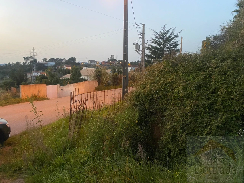 Terreno para Venda em Eiras e São Paulo de Frades Foto 18