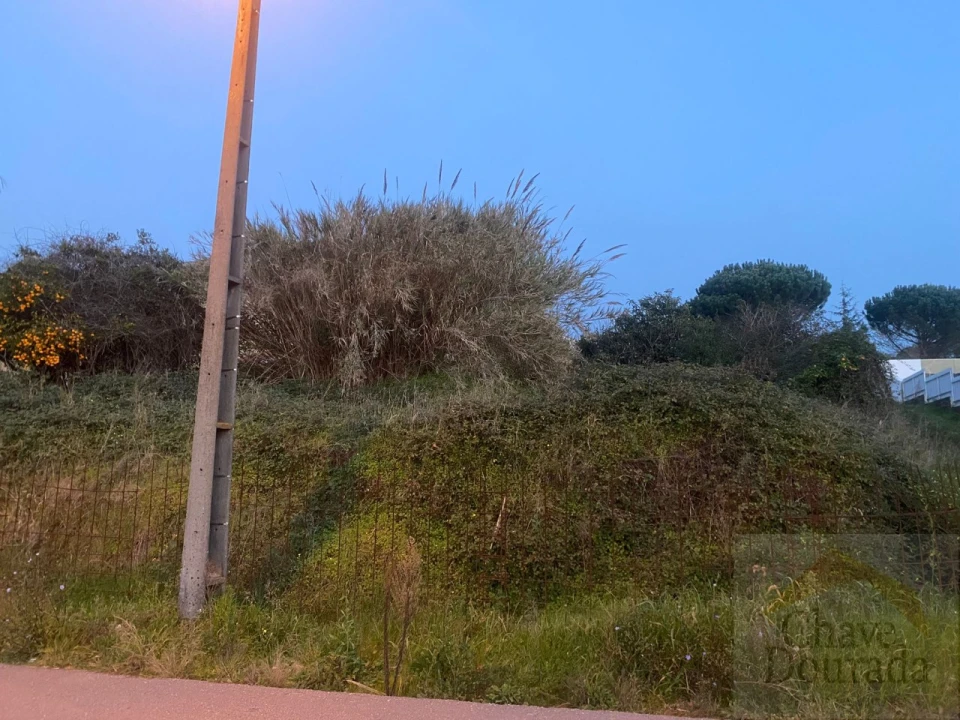 Terreno para Venda em Eiras e São Paulo de Frades Foto 15