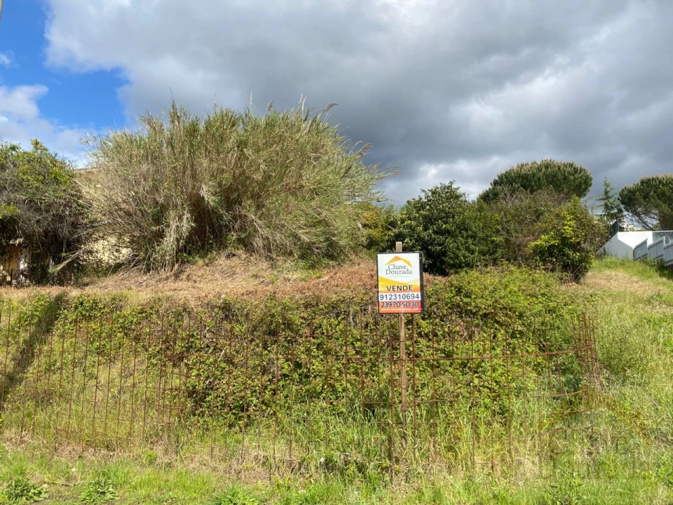 Terreno para Venda em Eiras e São Paulo de Frades Foto 2