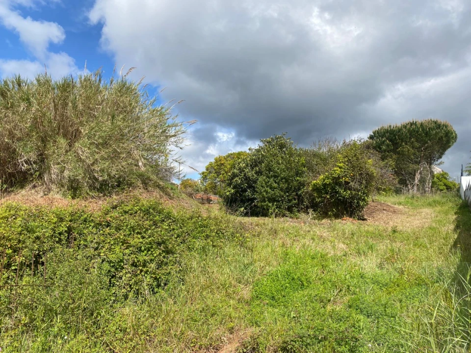 Terreno para Venda em Eiras e São Paulo de Frades Foto 3