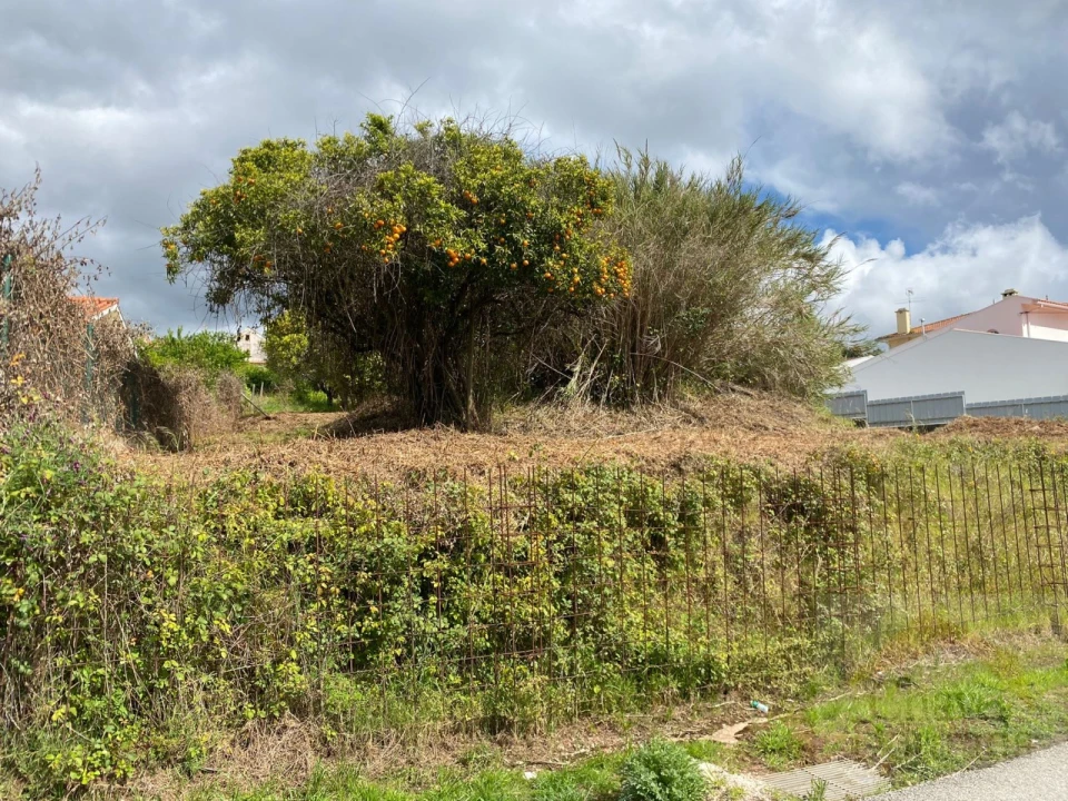 Terreno para Venda em Eiras e São Paulo de Frades Foto 5