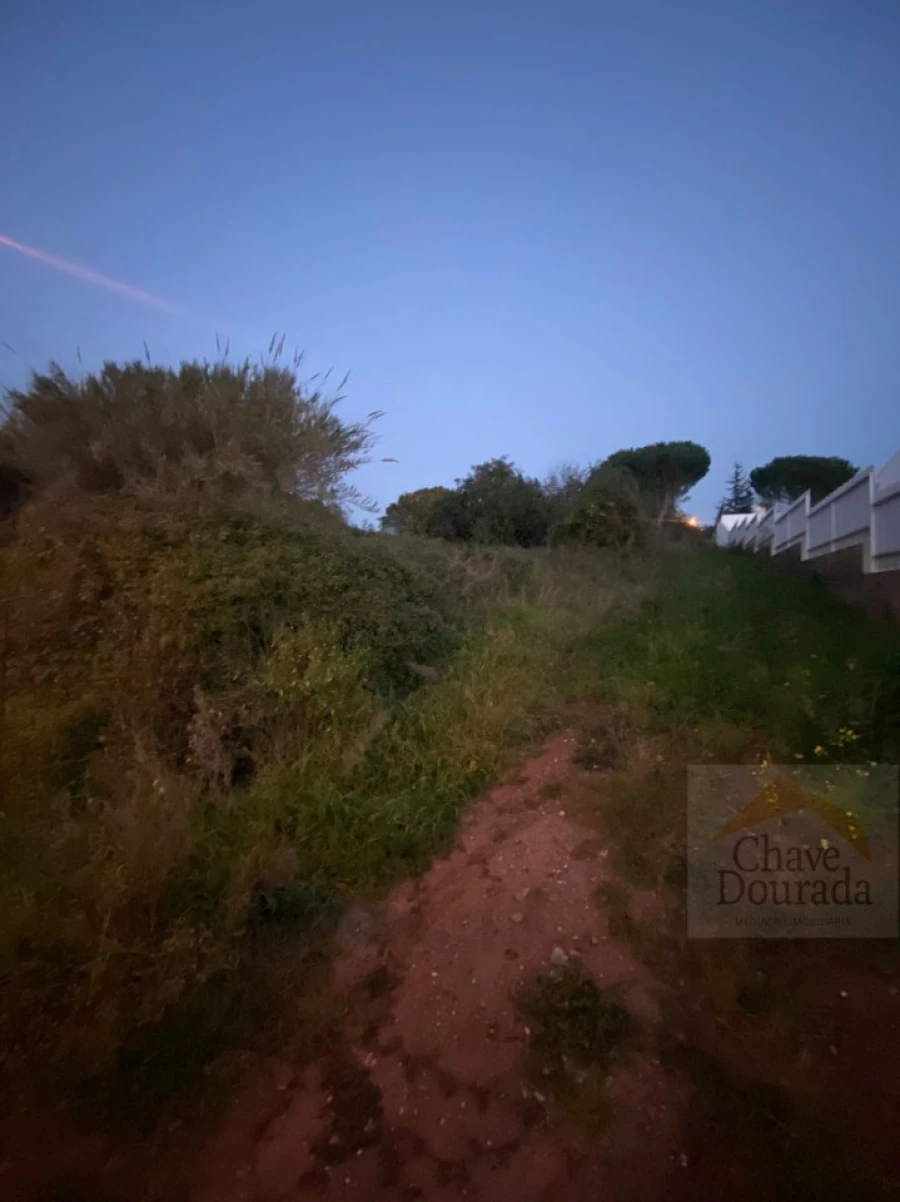 Terreno para Venda em Eiras e São Paulo de Frades Foto 9