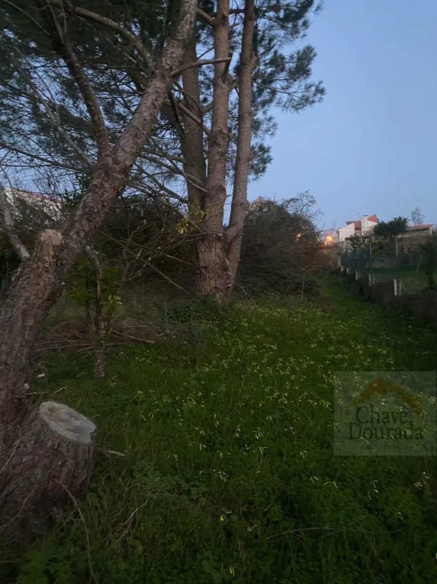 Terreno para Venda em Eiras e São Paulo de Frades Foto 11