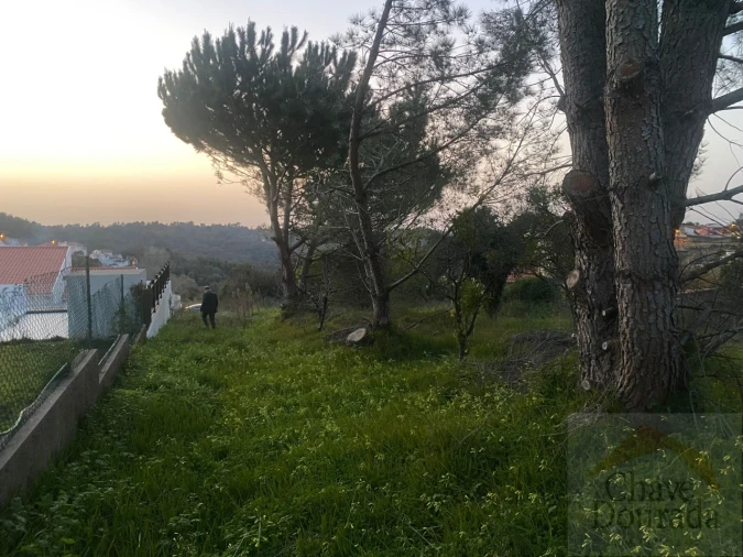 Terreno para Venda em Eiras e São Paulo de Frades Foto 6