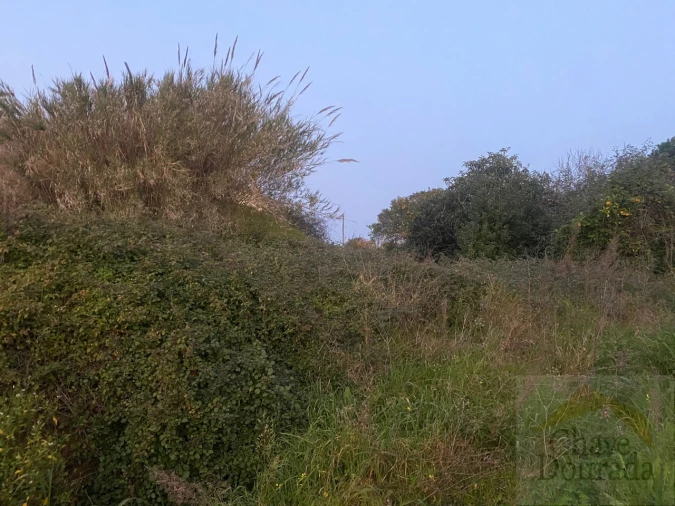 Terreno para Venda em Eiras e São Paulo de Frades Foto 13