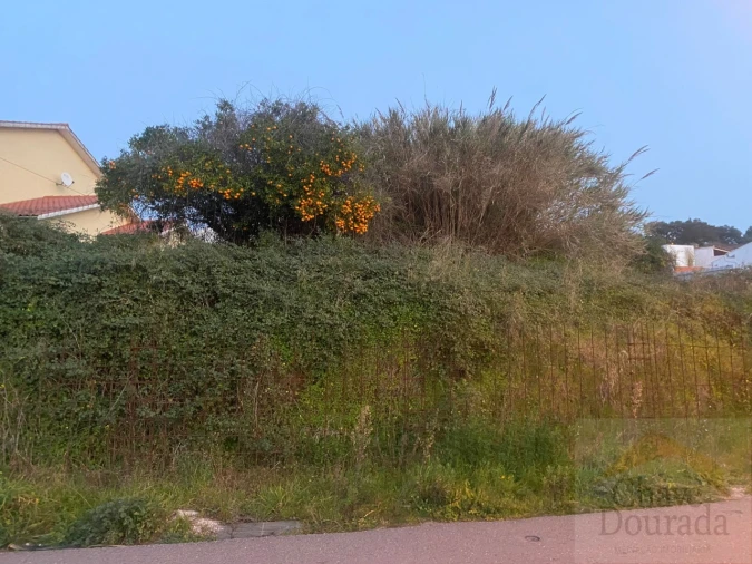 Terreno para Venda em Eiras e São Paulo de Frades Foto 14