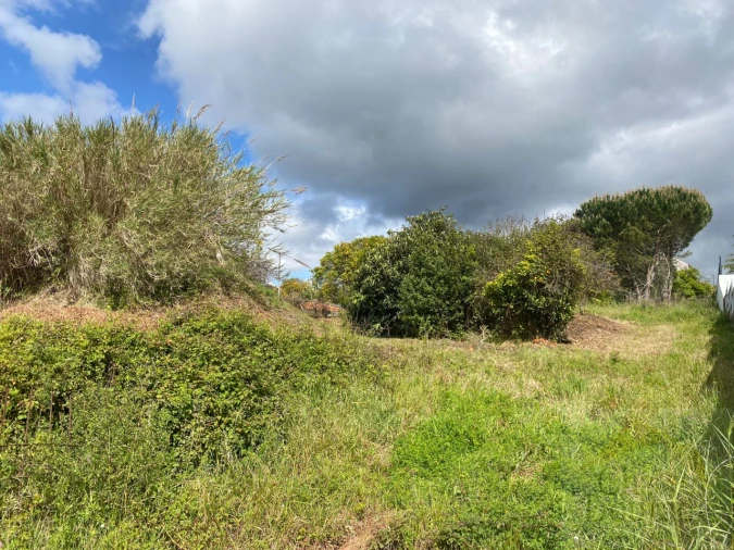 Terreno para Venda em Eiras e São Paulo de Frades Foto 3