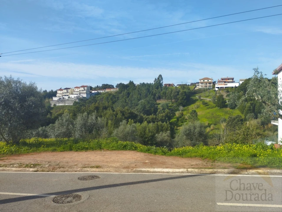 Terreno para Venda em Santo Antonio dos Olivais Foto 3
