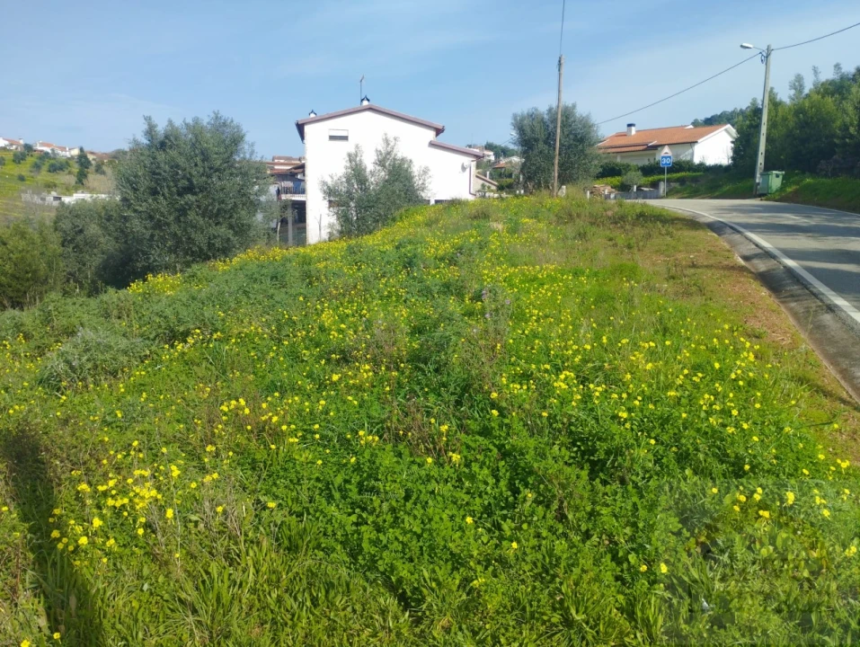 Terreno para Venda em Santo Antonio dos Olivais Foto 6