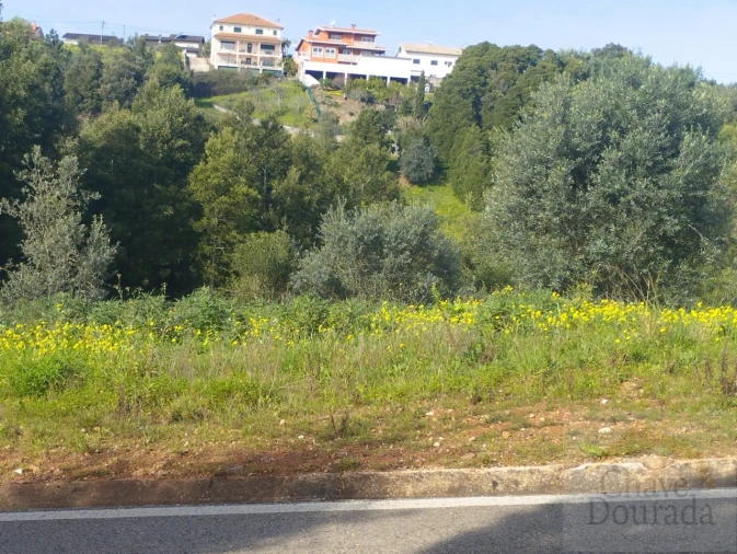 Terreno para Venda em Santo Antonio dos Olivais Foto 4