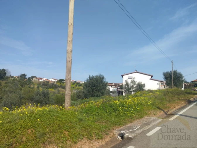 Terreno para Venda em Santo Antonio dos Olivais Foto 5