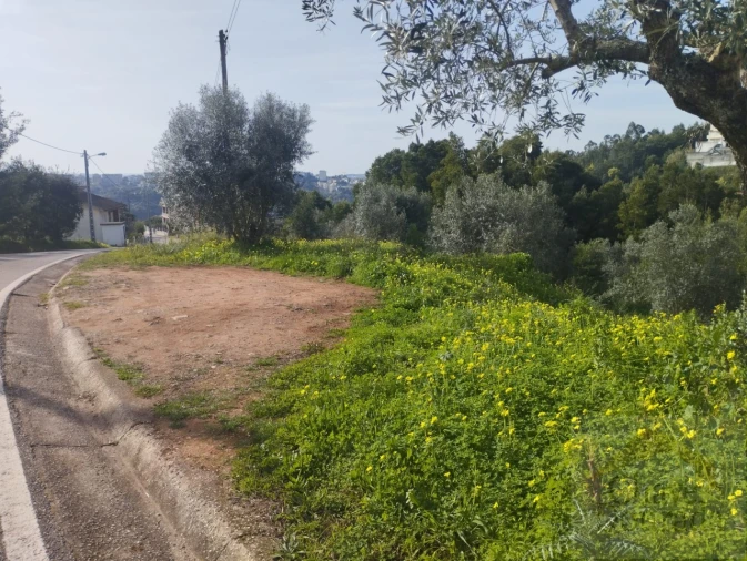 Terreno para Venda em Santo Antonio dos Olivais Foto 8