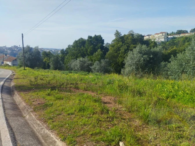 Terreno para Venda em Santo Antonio dos Olivais Foto 7